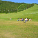 FOLGARIA (TN) - Hotel Cristallo